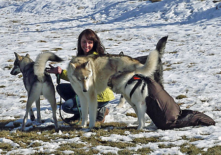 Holly Justice and Pups Photo