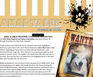 November 2022 AMAL Tales Cover.