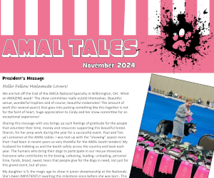 November 2024 AMAL Tales Cover.