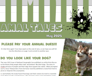 May 2025 AMAL Tales Cover