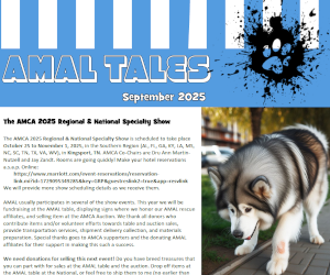 September 2025 AMAL Tales Cover.